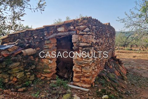 Landejendom i Les Useras, Castellon, Les Useras - € 66.000 | Ref: 293 - foto 10